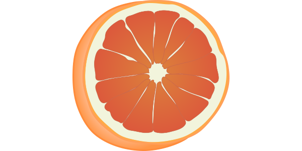 【フリー素材】ピンクグレープフルーツの断面のイラスト（輪切り・線あり・なし）(商用利用可・透過PNG)