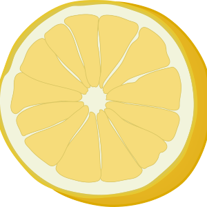【FREE Vector】White Grapefruit Cross-Section Illustration (Sliced, with and without Outline) (Commercial Use OK / PNG Transparent)