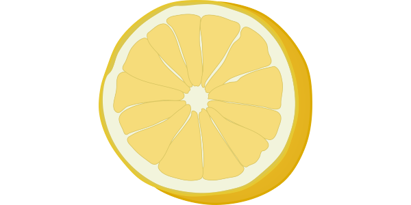 【フリー素材】ホワイトグレープフルーツの断面のイラスト（輪切り・線あり・なし）(商用利用可・透過PNG)