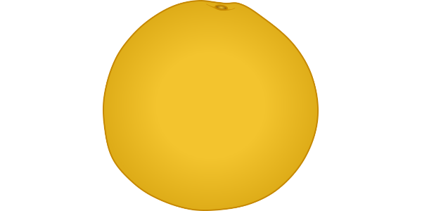 【フリー素材】ホワイトグレープフルーツのイラスト（全体・線あり・なし）(商用利用可・透過PNG)