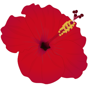 【FREE Vector】Vibrant Red Hibiscus Flower Illustration (with and without Outline) (Commercial Use OK / PNG Transparent)