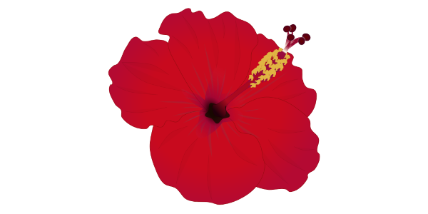 【FREE Vector】Vibrant Red Hibiscus Flower Illustration (with and without Outline) (Commercial Use OK / PNG Transparent)