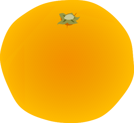 Mikan (Mandarin Orange) whole illustration material (No outline, Matte, PNG Transparent for winter dining or food education documents)