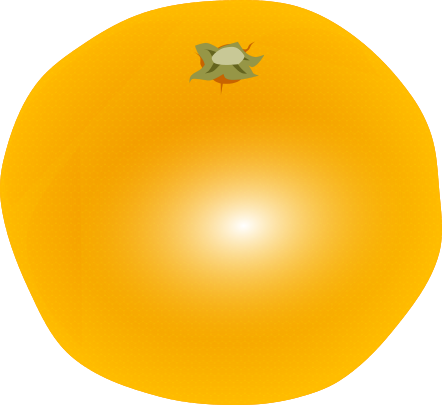 Glossy Unshu Mandarin Orange (Mikan) whole illustration material (For emphasizing freshness, Free material for fruit store POPs)