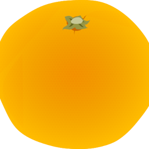 【FREE Vector】Mikan (Unshu Mandarin Orange) Illustration (Glossy & Outline / Winter Fruit) (Commercial Use OK / PNG Transparent)