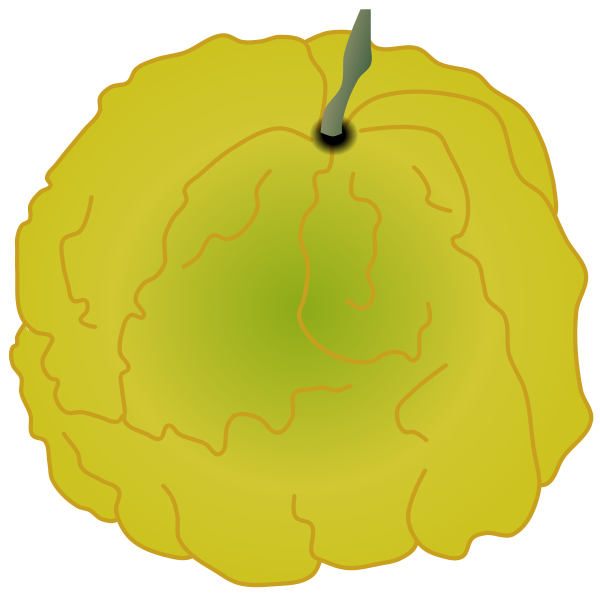 Shishi Yuzu (Rough-Skin Pomelo) illustration material (No line, Free material for marmalade recipes and winter POPs)