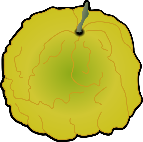 Rough-skinned Shishi Yuzu illustration (Black outline, PNG Transparent for citrus charts and educational materials)