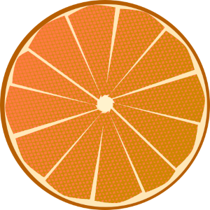 【フリー素材】オレンジの断面図のイラスト（線あり・線なし）(商用利用可・透過PNG)