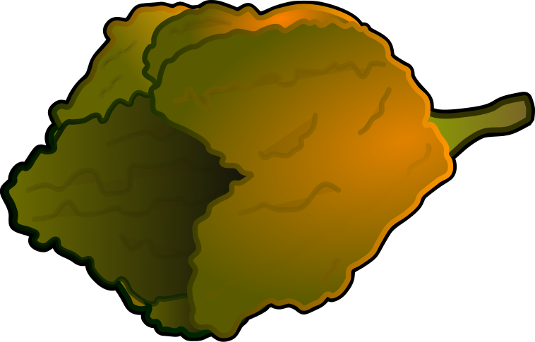 ペッパーXのイラスト(黒い縁取りあり・トウガラシ図鑑や辛味成分の学習資料用透過PNG)