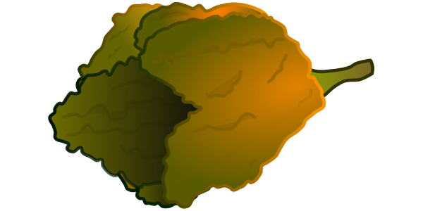 【フリー素材】ペッパーXのイラスト（ギネス認定・世界一辛い唐辛子）(商用利用可・透過PNG)