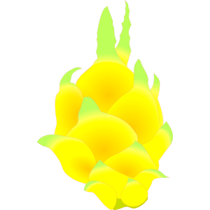 【FREE Vector】Golden Pitaya Illustration (Yellow Dragon Fruit / Glossy & Outline) (Commercial Use OK / PNG Transparent)