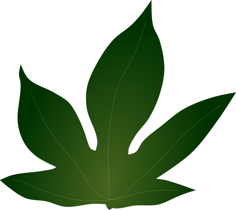 オオブタクサの葉の拡大イラスト(植物図鑑やアレルギーに関する資料用透過PNG)