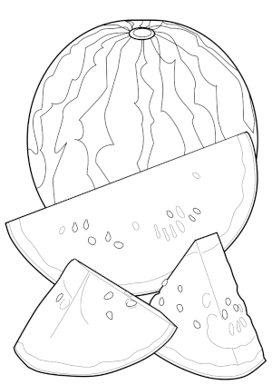 coloring page of watermelon