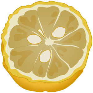【FREE Vector】Yuzu Citrus Fruit Cross-Section Illustration (Commercial Use OK / PNG Transparent)