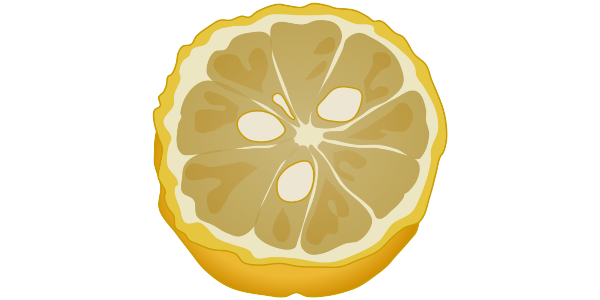 【フリー素材】柚子（ユズ）の断面のイラスト (商用利用可・透過PNG)