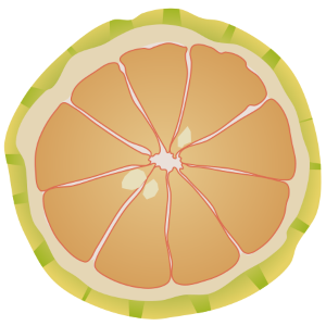 【FREE Vector】Pink Lemon Cross-Section Illustration (Ruby Flesh / Sliced) (Commercial Use OK / PNG Transparent)