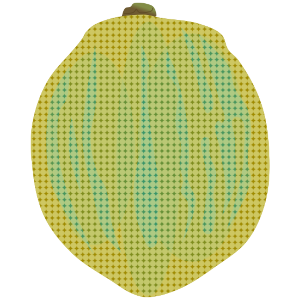 【FREE Vector】Pink Lemon Illustration (Striped Variegated Lemon / Rare Ornamental Fruit) (Commercial Use OK / PNG Transparent)