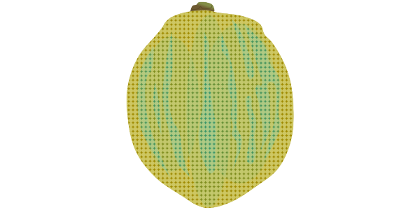 【フリー素材】ピンクレモン（ストライプ模様の珍しいレモン）のイラスト (商用利用可・透過PNG)