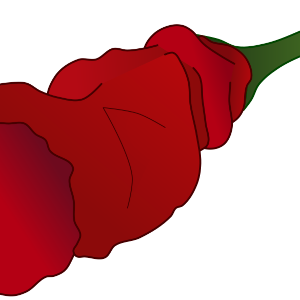 【FREE Vector】Red Peter Pepper Illustration (Unique & Rare Ornamental Chili) (Commercial Use OK / PNG Transparent)