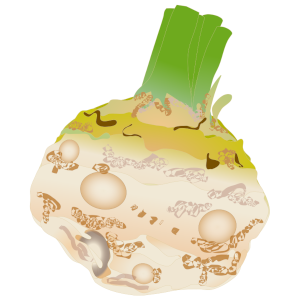 セロリアックのイラスト／サムネイル