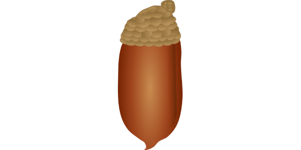 【FREE Vector】Japanese Stone Oak Acorn Illustration (Cap and Capless) (Commercial Use OK / PNG Transparent)