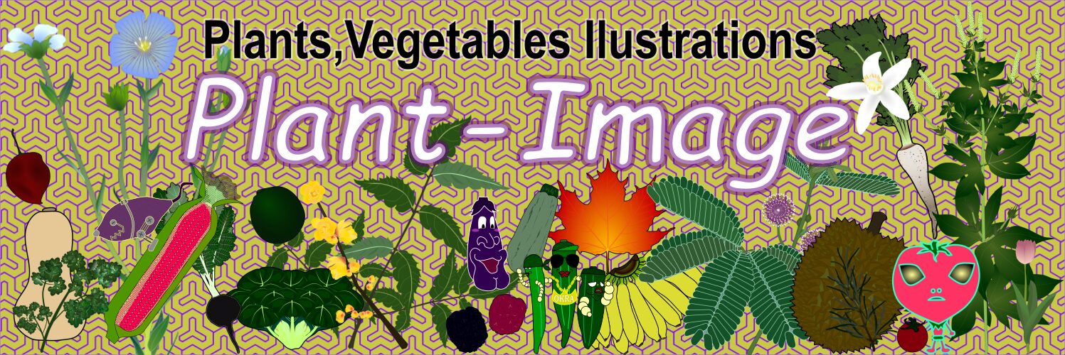 Free Botanical Illustrations for Commercial Use｜Vegetables, Fruits, Flowers & More – Plant-Image