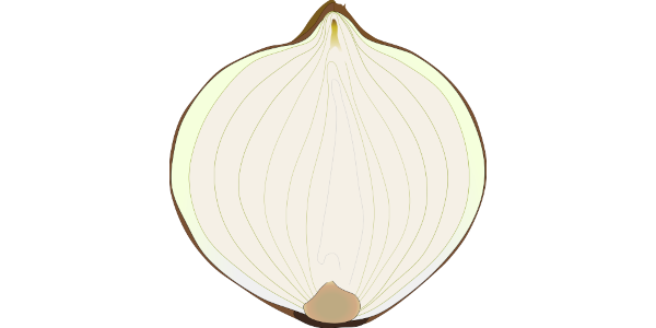 【フリー素材】玉ねぎの断面のイラスト（白玉ねぎ・赤玉ねぎ）(商用利用可・透過PNG)