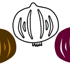 Onion Icons Collection