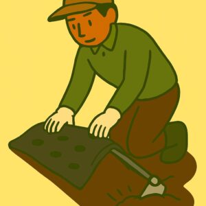 “Farming” × “Covering Materials” Laying black plastic mulch