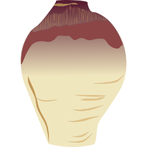 ルタバガのイラスト／サムネイル