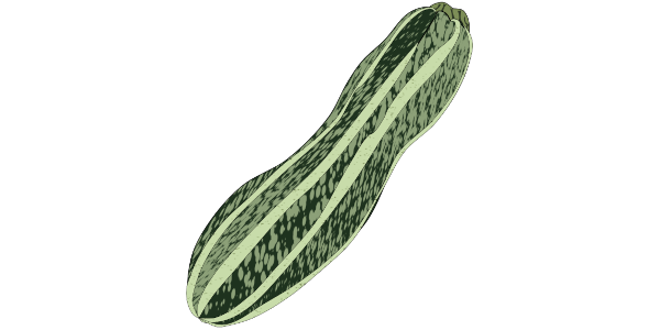 【フリー素材】ズッキーニ・ロマネスコのイラスト（縞模様）(商用利用可・透過PNG)