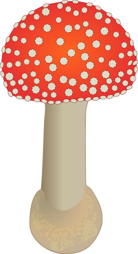 赤いベニテングタケ(毒キノコ)のイラスト素材(幼菌・図鑑や学習用フリー素材)