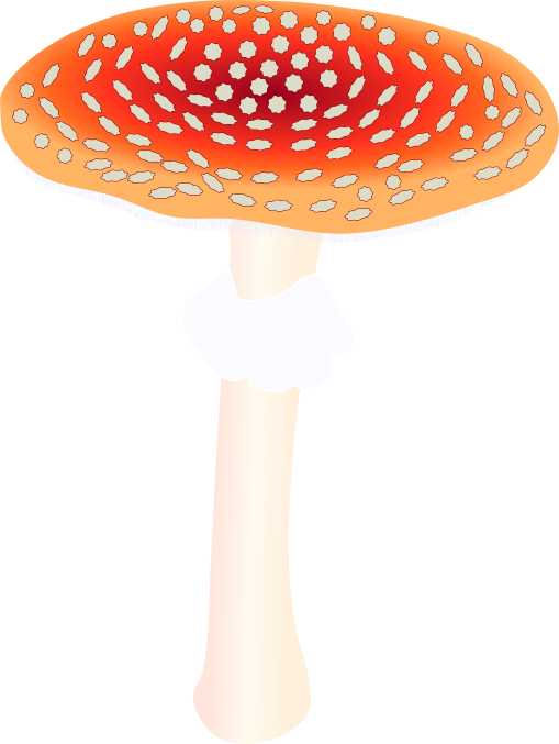 傘が開いたベニテングタケの全体イラスト(毒キノコ注意喚起用透過PNG)