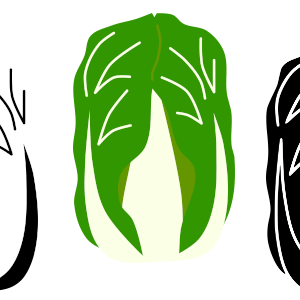 Chinese Cabbage Icons Collection