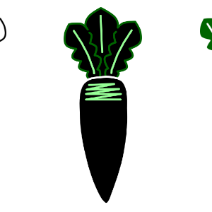 Radish Icons Collection