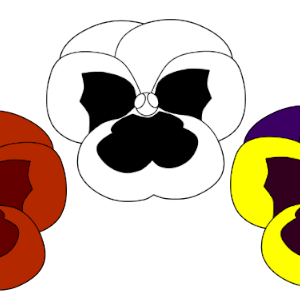 Pansy Icons Collection