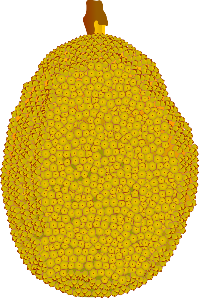 ジャックフルーツのイラスト素材(黄色・線なし・熱帯果実やヴィーガン料理用フリー素材)