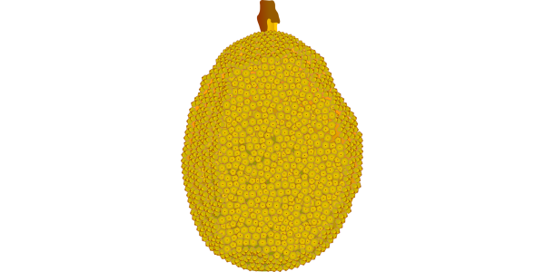 【フリー素材】ジャックフルーツのイラスト（ヴィーガンミートの食材）(商用利用可・透過PNG)