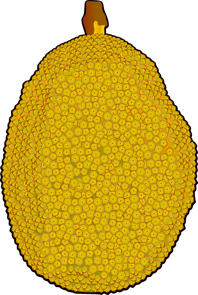 黒い縁取りありのジャックフルーツのイラスト(熱帯果実の図鑑資料用透過PNG)