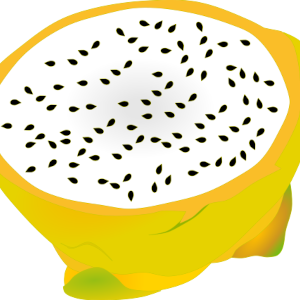 【FREE Vector】Golden Dragon Fruit (New Pitaya) Cross-Section Illustration (Commercial Use OK / PNG Transparent)