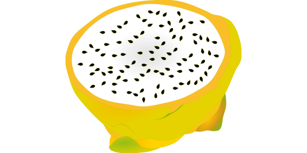 【フリー素材】ゴールデンドラゴンフルーツ（ニューピタヤ）の断面のイラスト (商用利用可・透過PNG)
