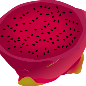 【FREE Vector】Red Dragon Fruit Cross-Section Illustration (Pitaya) (Commercial Use OK / PNG Transparent)
