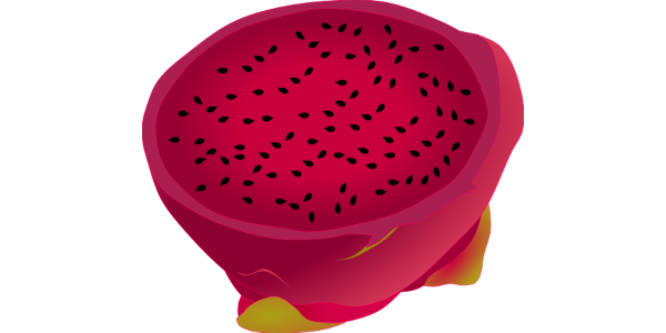 【フリー素材】中身の赤いレッドドラゴンフルーツの断面のイラスト (商用利用可・透過PNG)