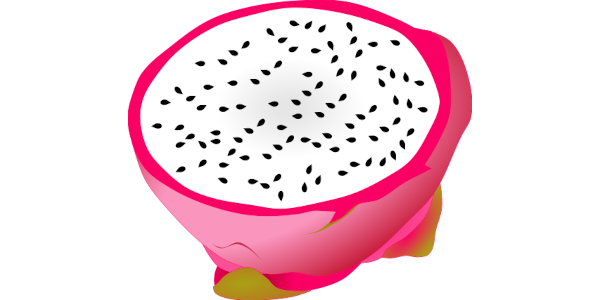 【フリー素材】中身の白いホワイトドラゴンフルーツの断面のイラスト (商用利用可・透過PNG)