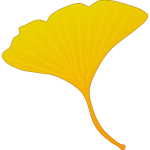 【FREE Vector】Ginkgo Leaf Illustrations (Autumn / Yellow Leaves / Green Leaves / 3 Variations) – Commercial Use OK / PNG Transparent