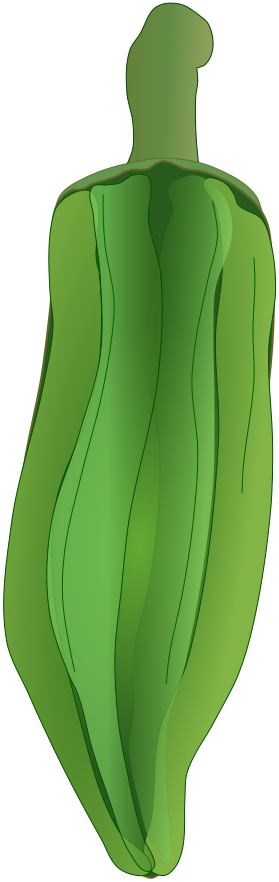 極太で大きく、多角形の断面を持つとされるオクラ「ダビデの星」の光沢と陰影のあるイラスト素材(線なし・珍しい品種や夏野菜の解説用フリー素材)