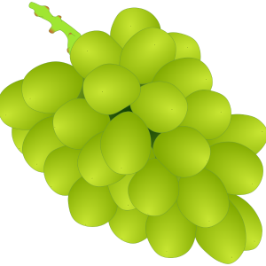 【FREE Vector】Shine Muscat Grape Illustrations (Fruit / Grape / Autumn / No Outline & Black Outline Variations) – Commercial Use OK / PNG Transparent