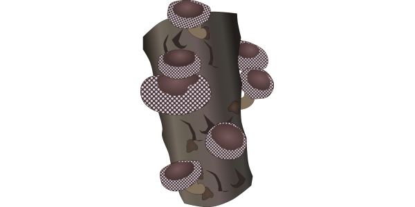 【FREE Vector】Log-Grown Shiitake Mushroom Illustration (Wood Log / Multiple Fruiting Bodies / Autumn Mushroom) – Commercial Use OK / PNG Transparent